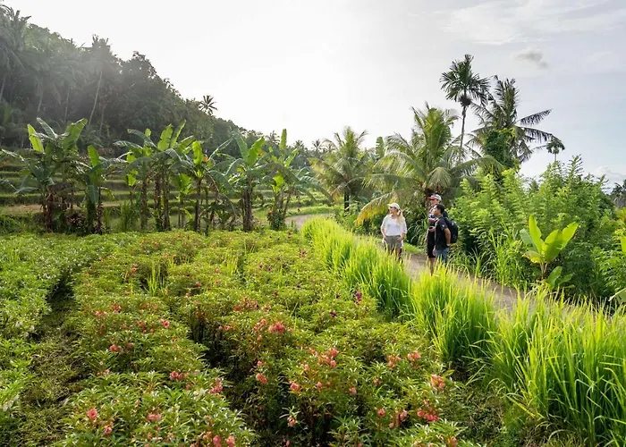 خيمة فخمة Kaura Bali 4*